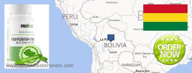 Πού να αγοράσετε Testosterone σε απευθείας σύνδεση Bolivia